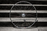 SUZUE pro max track hubs and ARAYA gold rims and Hoshi spokes NJS approved wheel set
